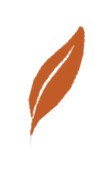 SENZAI